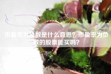 市盈率为负数是什么意思？市盈率为负数的股票能买吗？