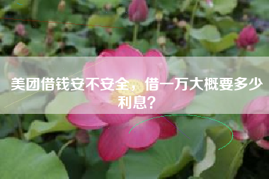 美团借钱安不安全，借一万大概要多少利息？