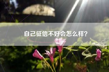 自己征信不好会怎么样？