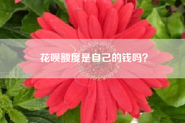 花呗额度是自己的钱吗？