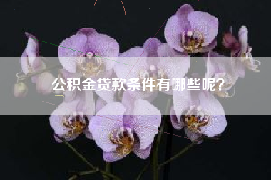 公积金贷款条件有哪些呢？