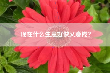 现在什么生意好做又赚钱？