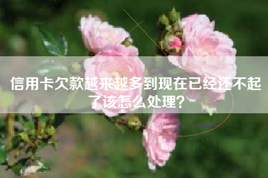 信用卡欠款越来越多到现在已经还不起了该怎么处理？