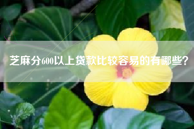 芝麻分600以上贷款比较容易的有哪些？