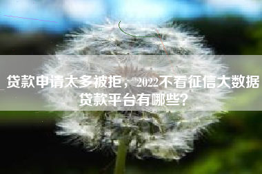 贷款申请太多被拒，2022不看征信大数据贷款平台有哪些？