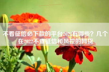 不看征信必下款的平台2022有哪些？几个在2022不查征信和风控的网贷