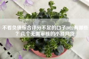 不看负债综合评分不足的口子2022有哪些？几个无需审核的小额网贷