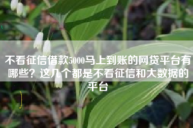 不看征信借款5000马上到账的网贷平台有哪些？这几个都是不看征信和大数据的平台