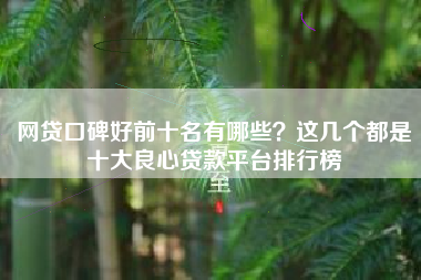 网贷口碑好前十名有哪些？这几个都是十大良心贷款平台排行榜