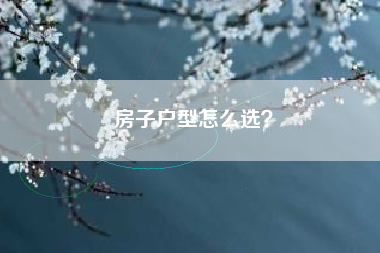 房子户型怎么选？