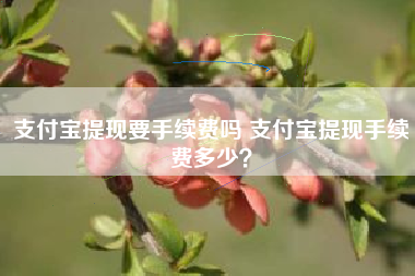 支付宝提现要手续费吗 支付宝提现手续费多少？