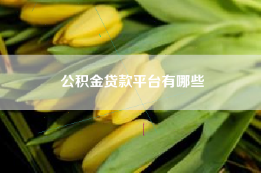 公积金贷款平台有哪些