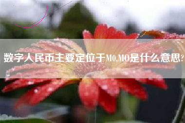 数字人民币主要定位于M0,MO是什么意思?