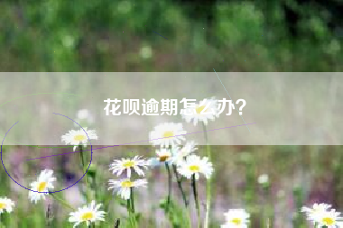 花呗逾期怎么办？