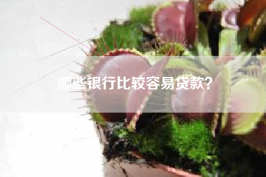 哪些银行比较容易贷款？