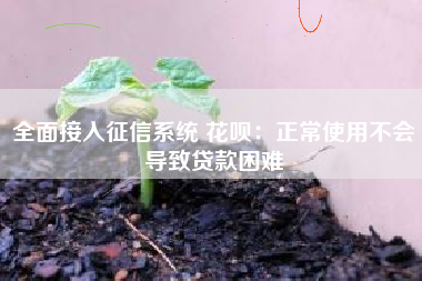 全面接入征信系统 花呗：正常使用不会导致贷款困难