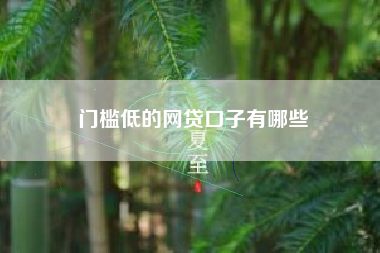 门槛低的网贷口子有哪些