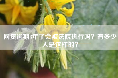 网贷逾期3年了会被法院执行吗？有多少人是这样的？