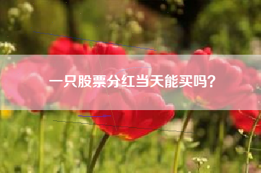 一只股票分红当天能买吗？