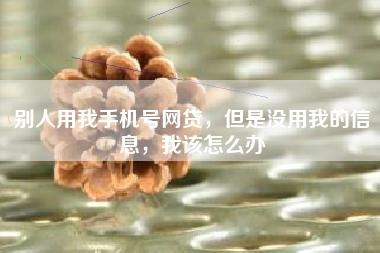 别人用我手机号网贷，但是没用我的信息，我该怎么办