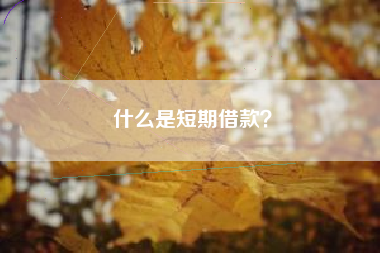 什么是短期借款？