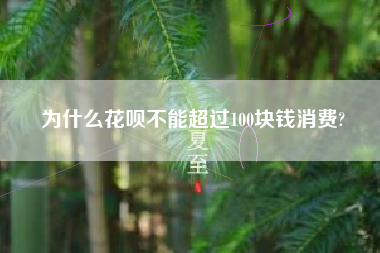 为什么花呗不能超过100块钱消费?