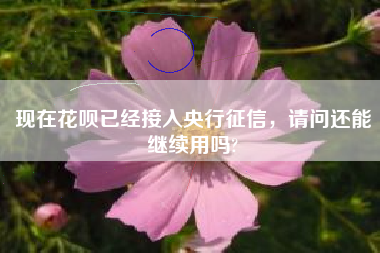 现在花呗已经接入央行征信，请问还能继续用吗?