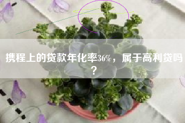 携程上的贷款年化率36%，属于高利贷吗？