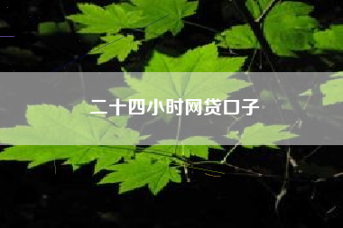 二十四小时网贷口子