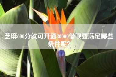 芝麻600分就可开通30000借呗要满足哪些条件呢？