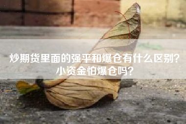 炒期货里面的强平和爆仓有什么区别？小资金怕爆仓吗？