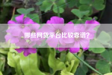 哪些网贷平台比较靠谱？