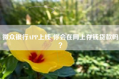 微众银行APP上线 你会在网上存钱贷款吗？