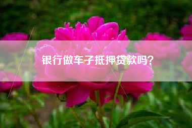 银行做车子抵押贷款吗？