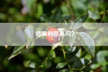 借呗利息高吗？