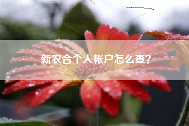 新农合个人帐户怎么查？