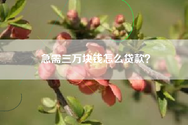 急需三万块钱怎么贷款？