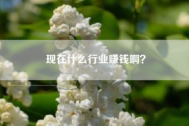 现在什么行业赚钱啊？