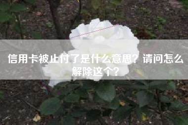 信用卡被止付了是什么意思？请问怎么解除这个？