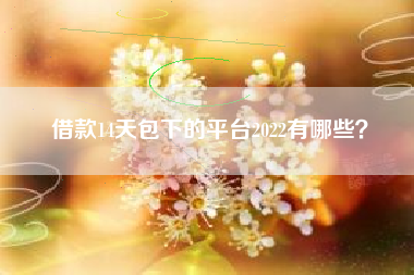 借款14天包下的平台2022有哪些？