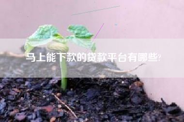 马上能下款的贷款平台有哪些?