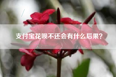 支付宝花呗不还会有什么后果？