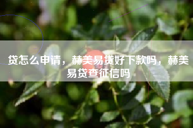 贷怎么申请，赫美易贷好下款吗，赫美易贷查征信吗