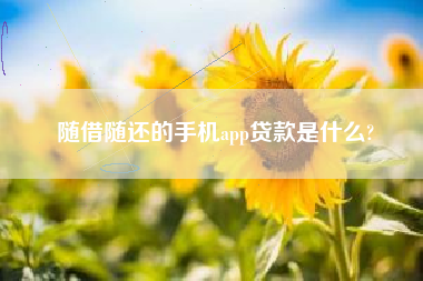 随借随还的手机app贷款是什么?