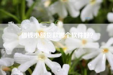 借钱小额贷款哪个软件好？