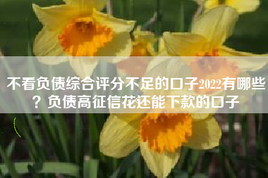 不看负债综合评分不足的口子2022有哪些？负债高征信花还能下款的口子