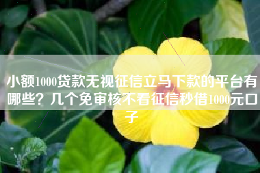 小额1000贷款无视征信立马下款的平台有哪些？几个免审核不看征信秒借1000元口子