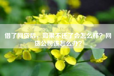 借了网贷后，如果不还了会怎么样？网贷公司该怎么办？