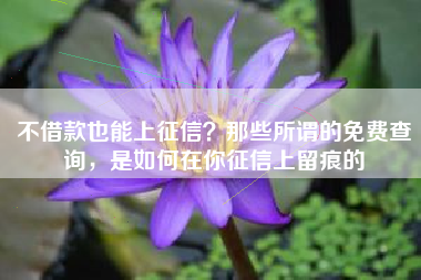 不借款也能上征信？那些所谓的免费查询，是如何在你征信上留痕的