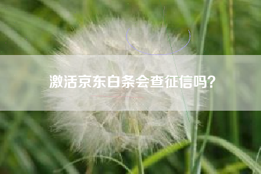 激活京东白条会查征信吗？